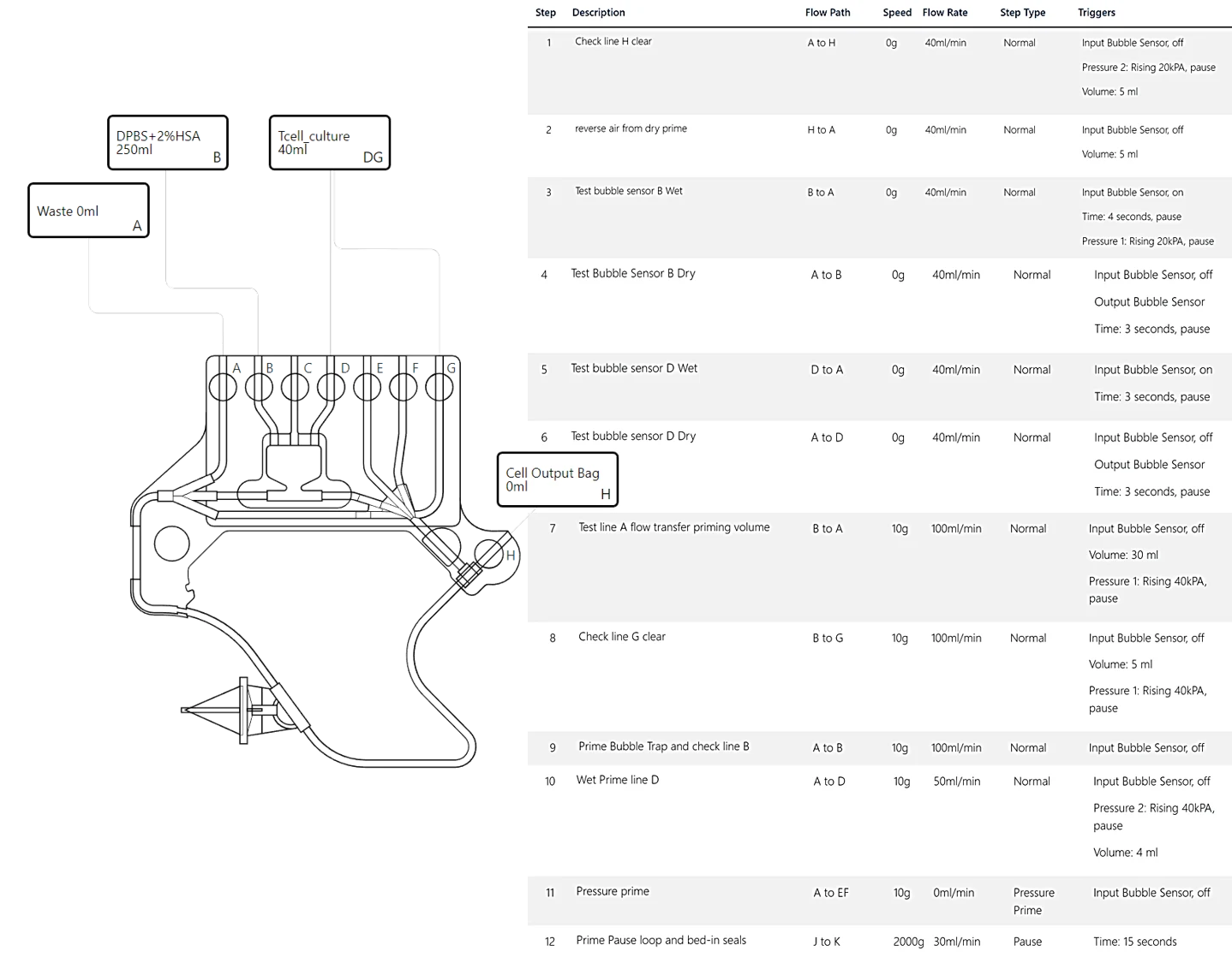 Priming sequence example