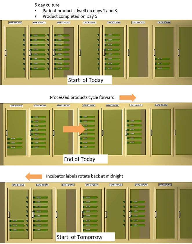 Visual management of incubators