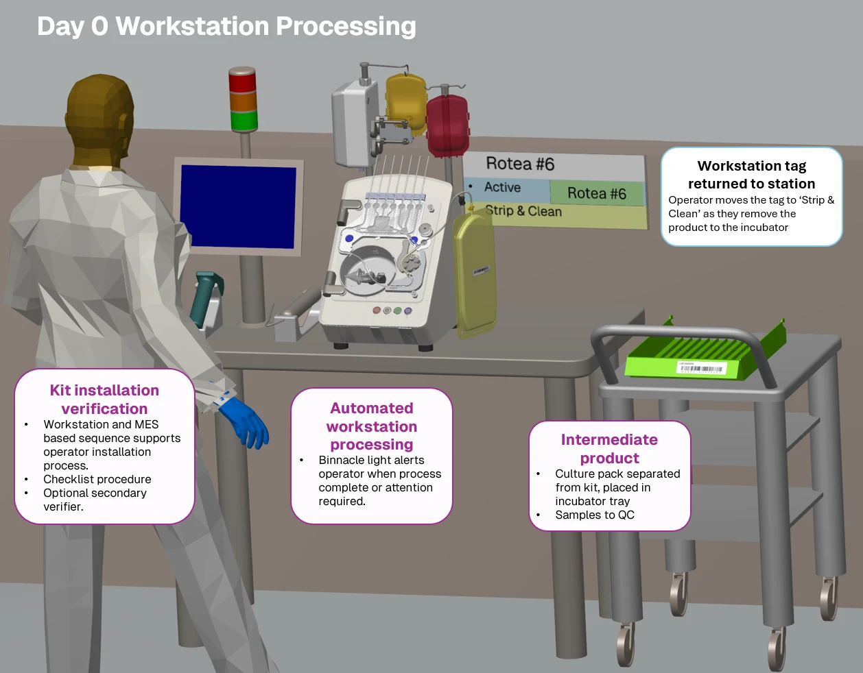 Day 0 Processing