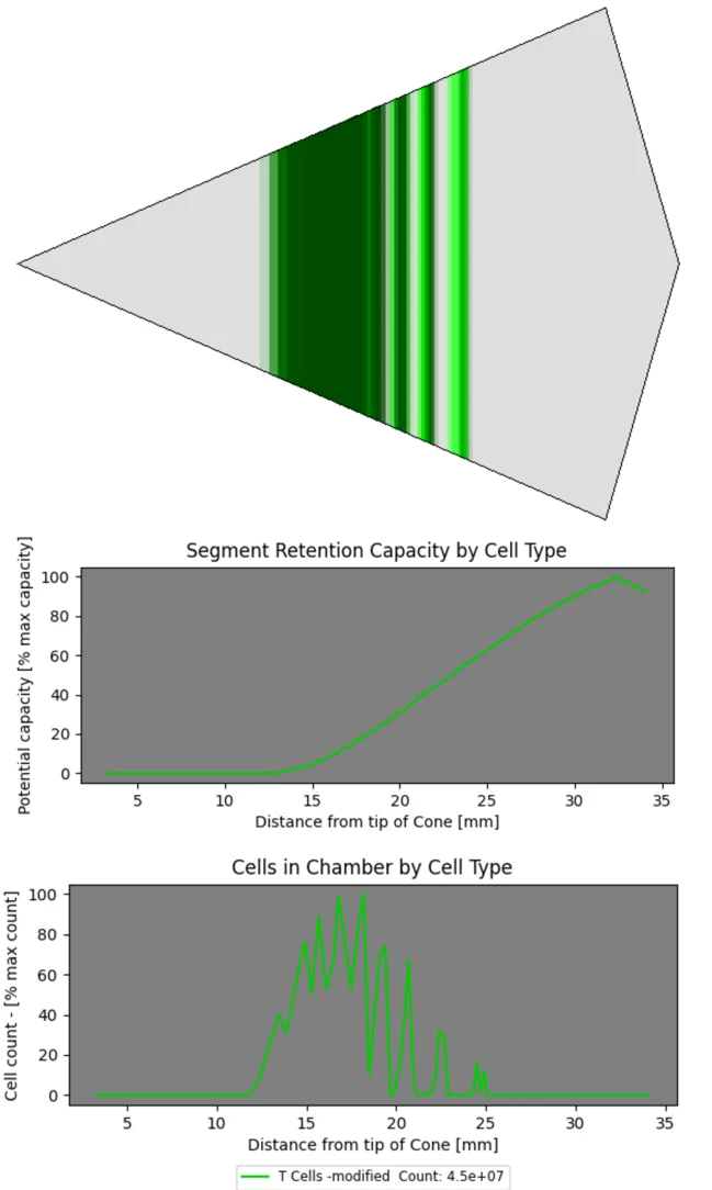 Cells in chamber simulation