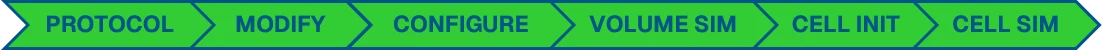 Protocol review workflow: protocol, modify, configure, volume sim, cell init, cell sim